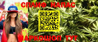 СК Заводоуковск